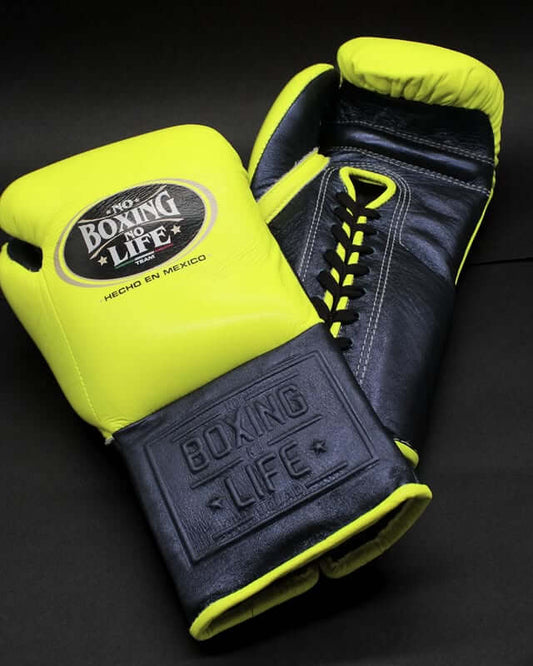 No Boxing No Life Boxing Gloves Parrot/Grey Heavy Bag