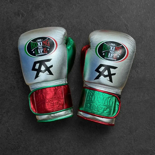 No Boxing No Life Boxing Gloves Silver/Red/Green Competition