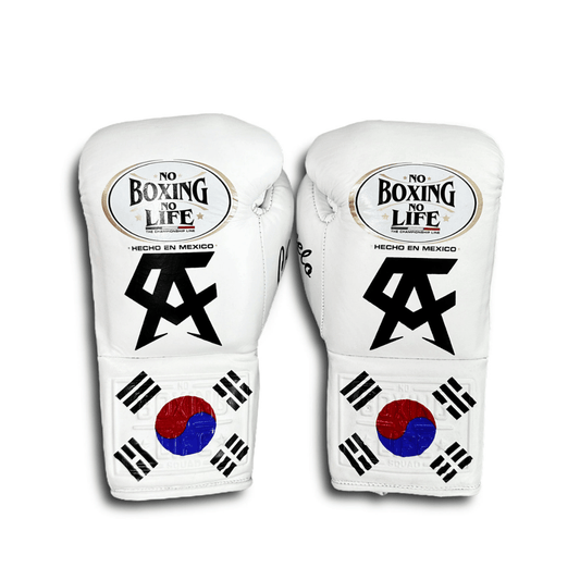 No Boxing No Life Boxing Gloves White/Blue/Red/Black Training