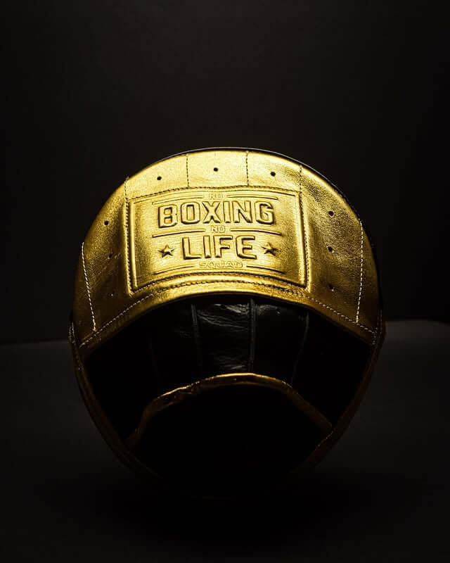 No Boxing No Life Punching Mitts Gold/Black Leather