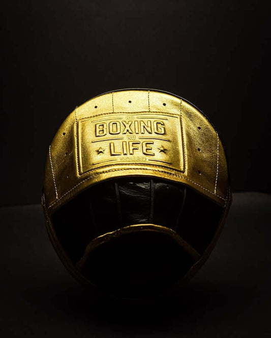 No Boxing No Life Punching Mitts Gold/Black Leather