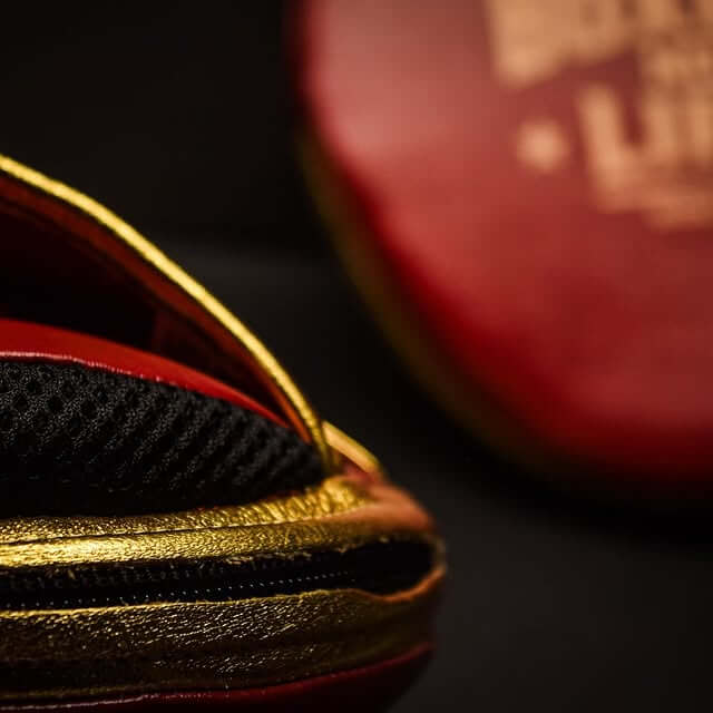 No Boxing No Life Punching Mitts Maroon/Gold Custom Fit