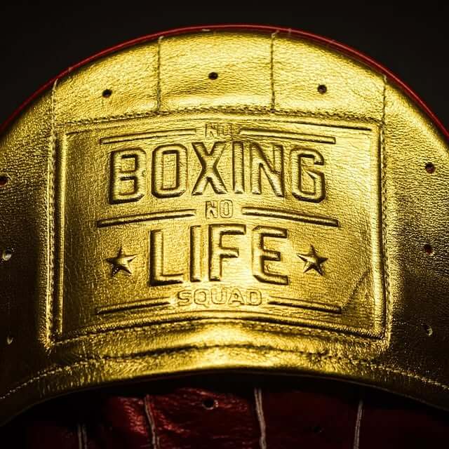 No Boxing No Life Punching Mitts Maroon/Gold Custom Fit