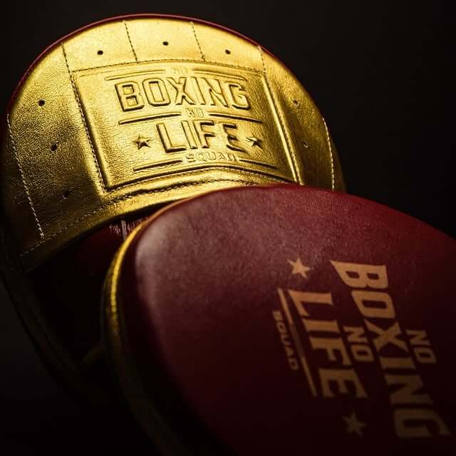 No Boxing No Life Punching Mitts Maroon/Gold Custom Fit