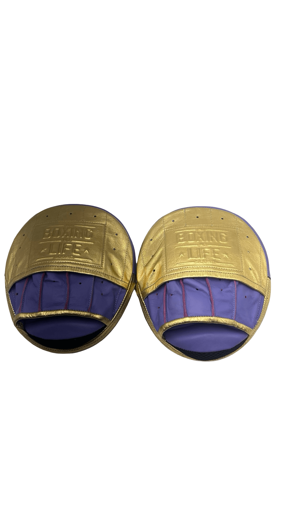 No Boxing No Life Punching Mitts Gold/Purple Customizable