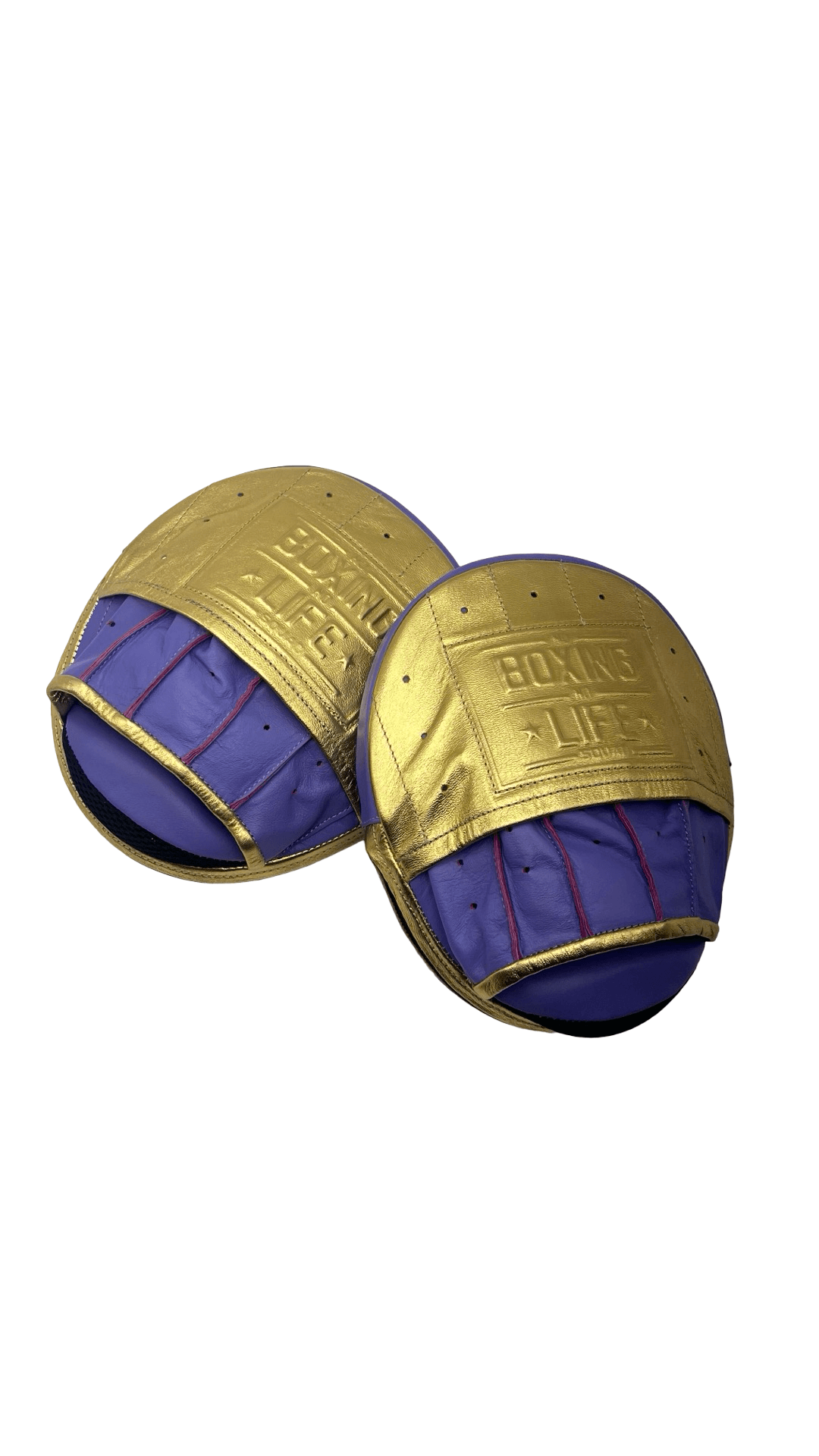 No Boxing No Life Punching Mitts Gold/Purple Customizable