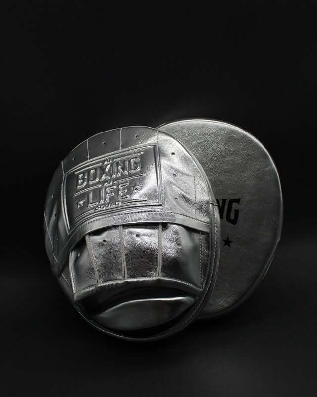 No Boxing No Life Punching Mitts Silver Sparring