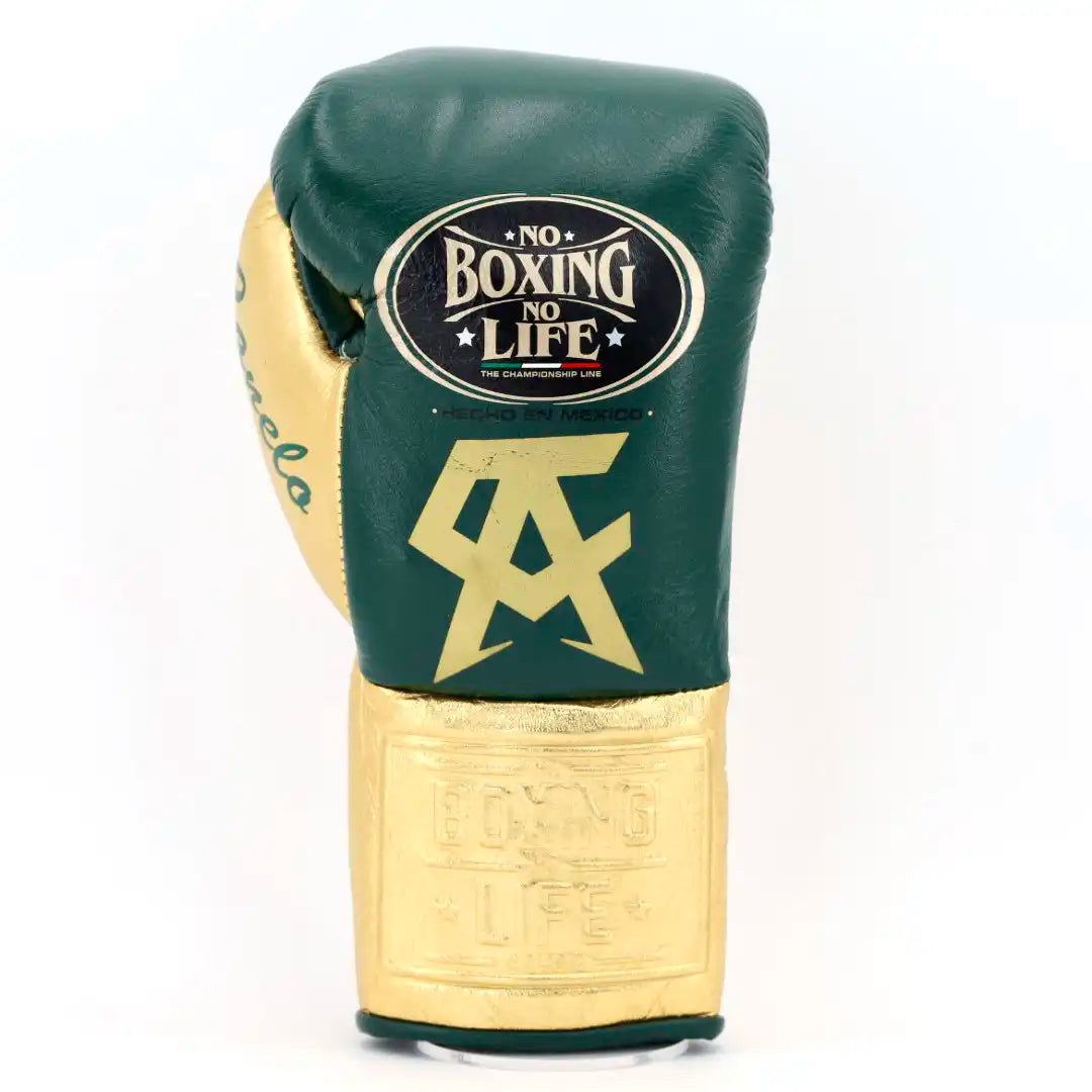 No Boxing No Life Boxing Gloves Dark-Green/Gold Sparring