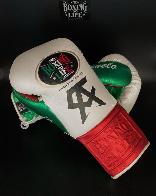 No Boxing No Life Boxing Gloves White/Red/Green Leather