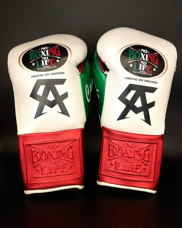 No Boxing No Life Boxing Gloves White/Red/Green Leather