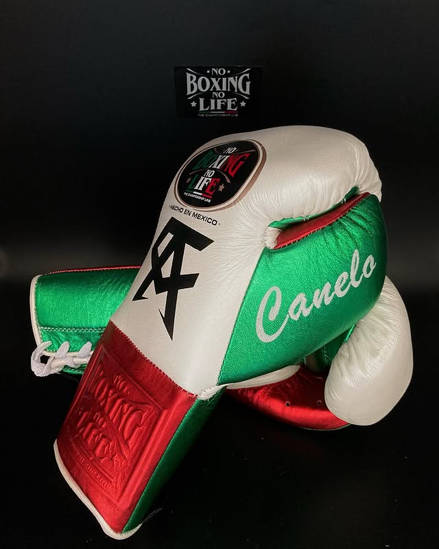 No Boxing No Life Boxing Gloves White/Red/Green Leather