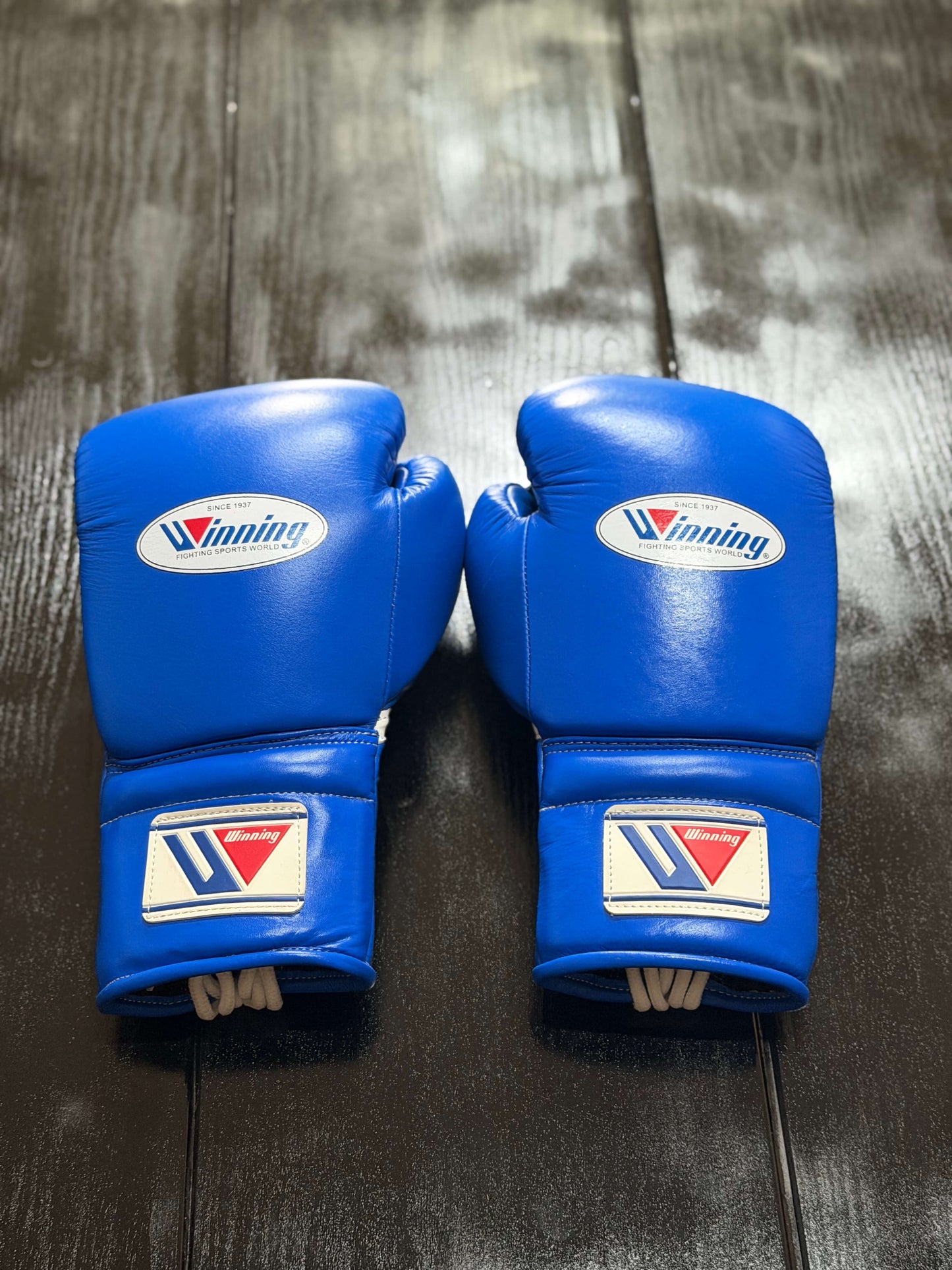 Winning Boxing Gloves Blue Fitness Boxing