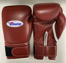 Winning Boxing Gloves Brown Competition