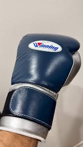 Winning Boxing Gloves Blue/Slate-Grey Velcro
