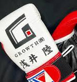 Winning Boxing Gloves White/Black/Red Boxing Training
