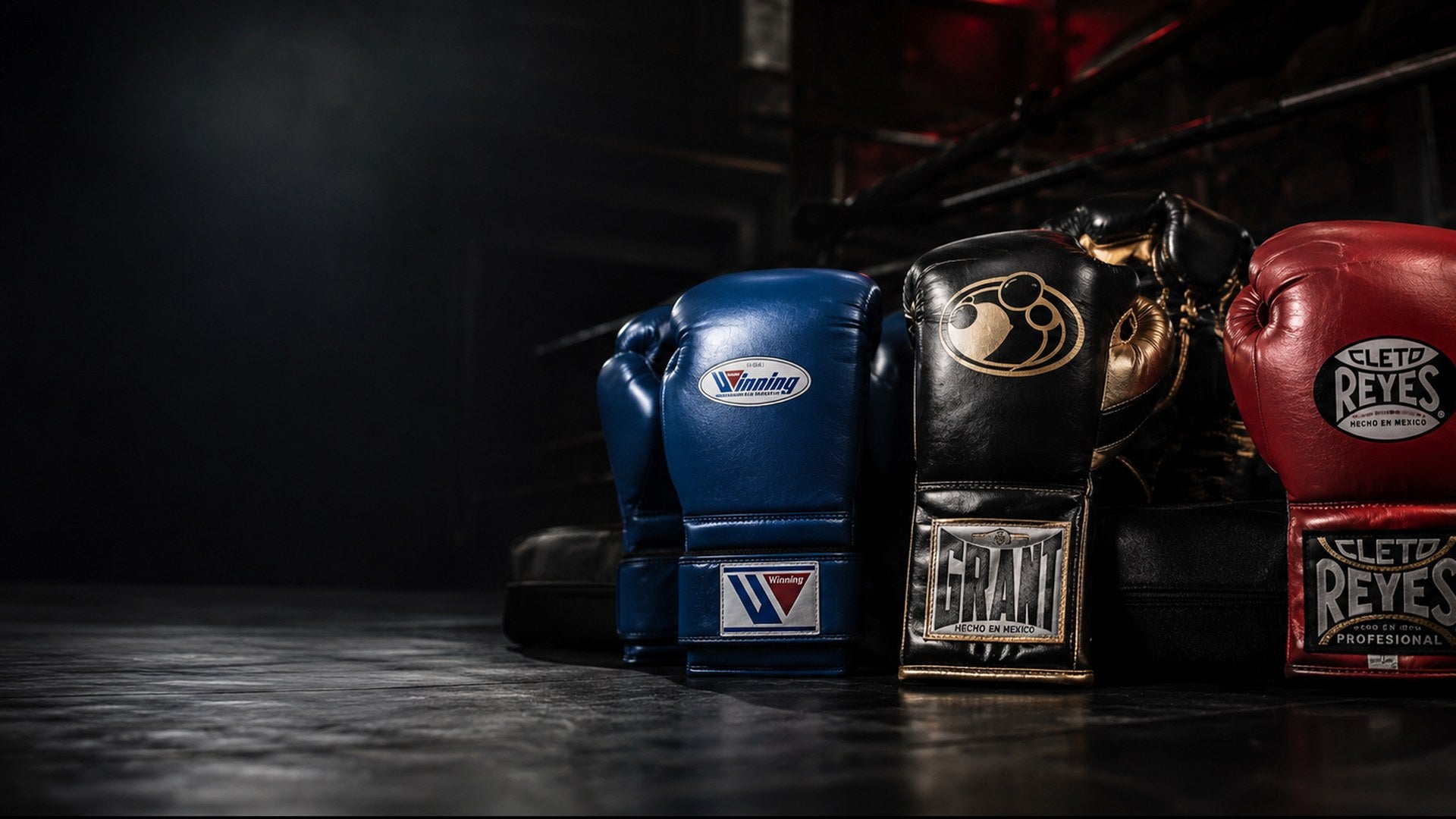 Premium boxing gloves